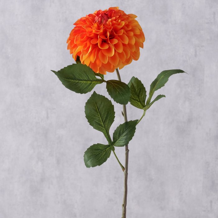 Stielblume