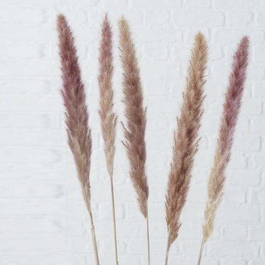 Decorative branch Pampas grass 6 pcs. 